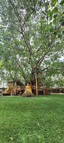 วัดต้นโพธิ์ศรีมหาโพธิ