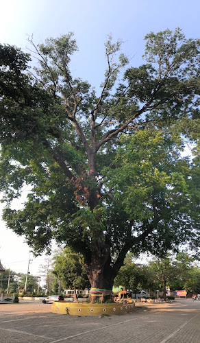 วัดคลองบางเดื่อ, อำเภอพยุหะคีรี, นครสวรรค์