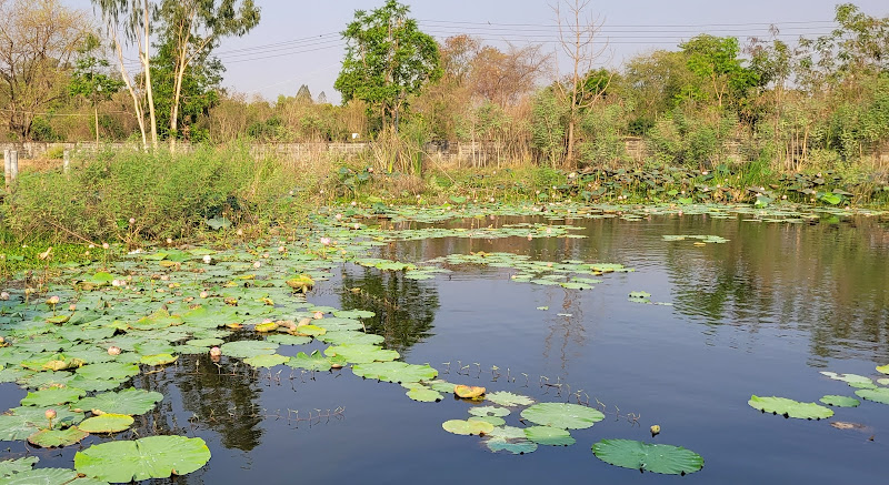 วัดหนองสานแตร, อำเภอดอนเจดีย์, สุพรรณบุรี