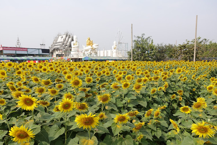 วัดสี่แยกเจริญพร, อำเภอกำแพงแสน, นครปฐม