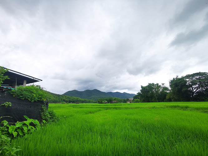 วัดปลายนาเฮี้ย, อำเภอเมืองปาน, ลำปาง