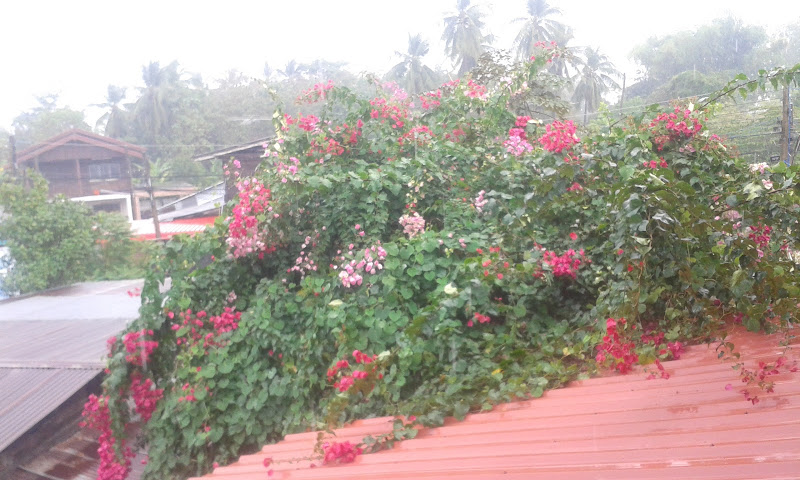 วัดบึงทุ่งหลวง, อำเภอคีรีมาศ, สุโขทัย