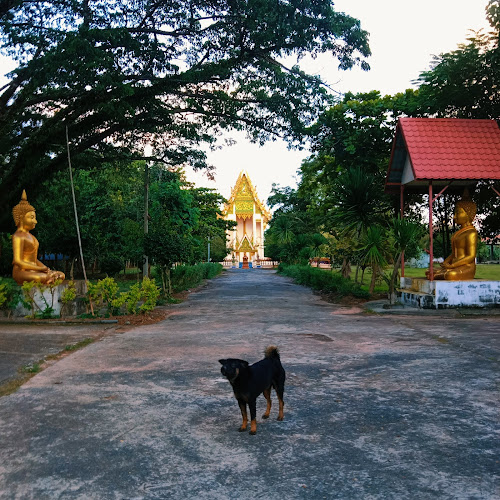 วัดแสงอรุณ, อำเภอกาบเชิง, สุรินทร์