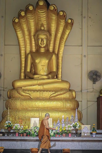วัดหนองแสง, อำเภอเมืองยโสธร, ยโสธร