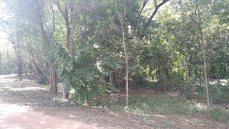 วัดป่าศิลาเลข, อำเภอป่าติ้ว, ยโสธร