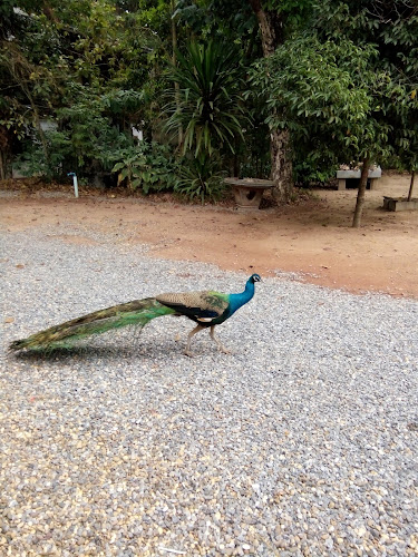 วัดป่าดอนกรรม, อำเภอโซ่พิสัย, บึงกาฬ